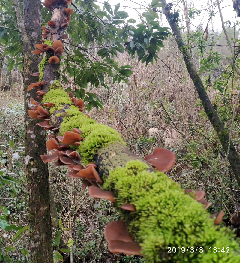 ��������ľ��_��һ����